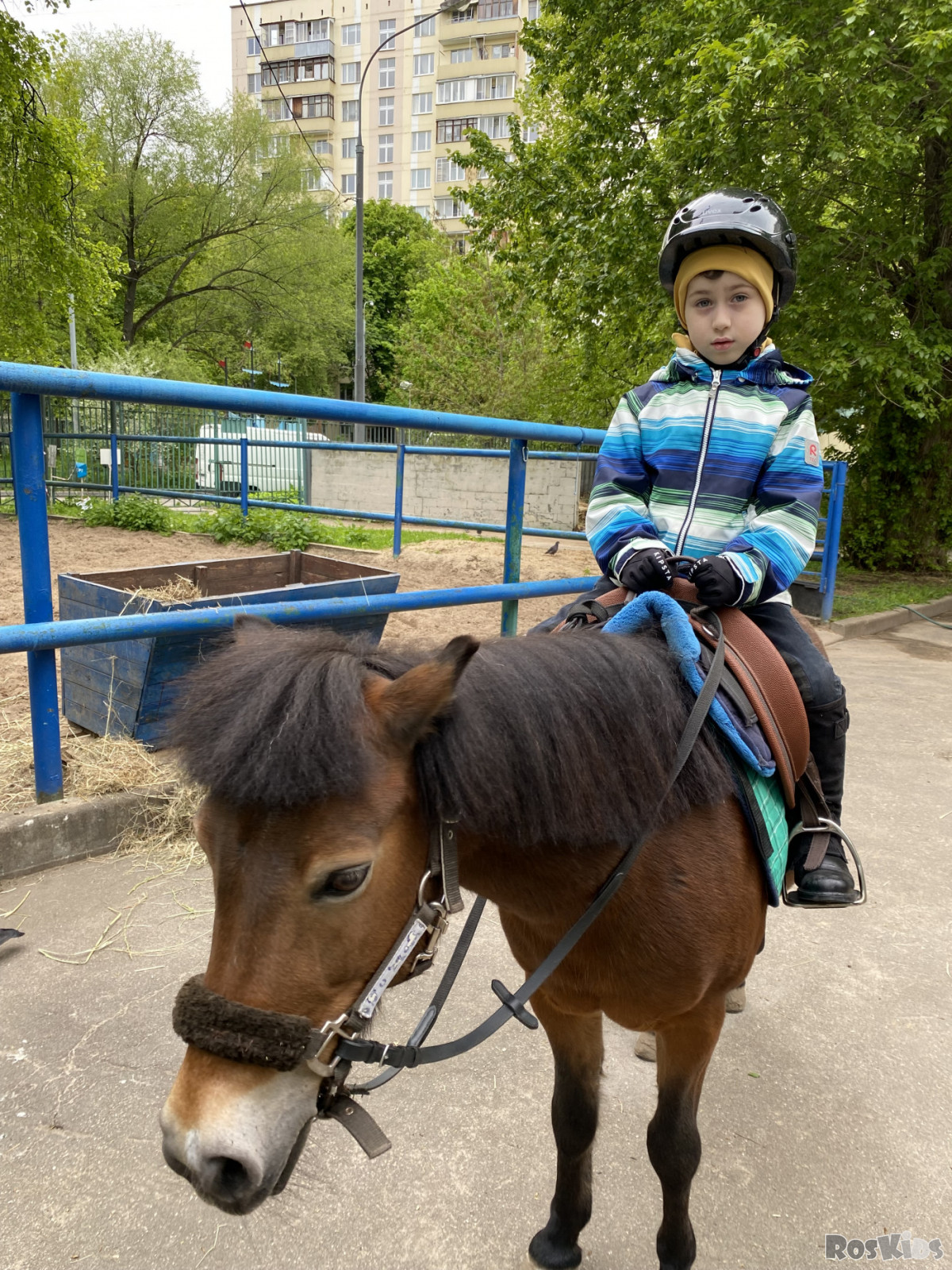 Никита Якунин - профиль на сайте Roskids